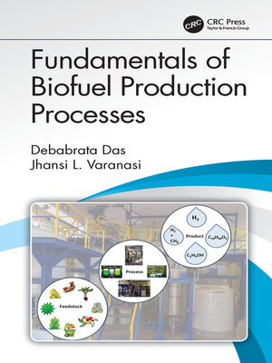 cover image of Fundamentals of Biofuel Production Processes